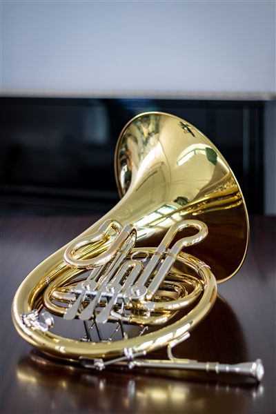 A brass French horn